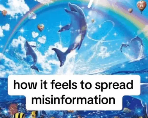 How It Feels to Spread Misinformation Meme Dolphin