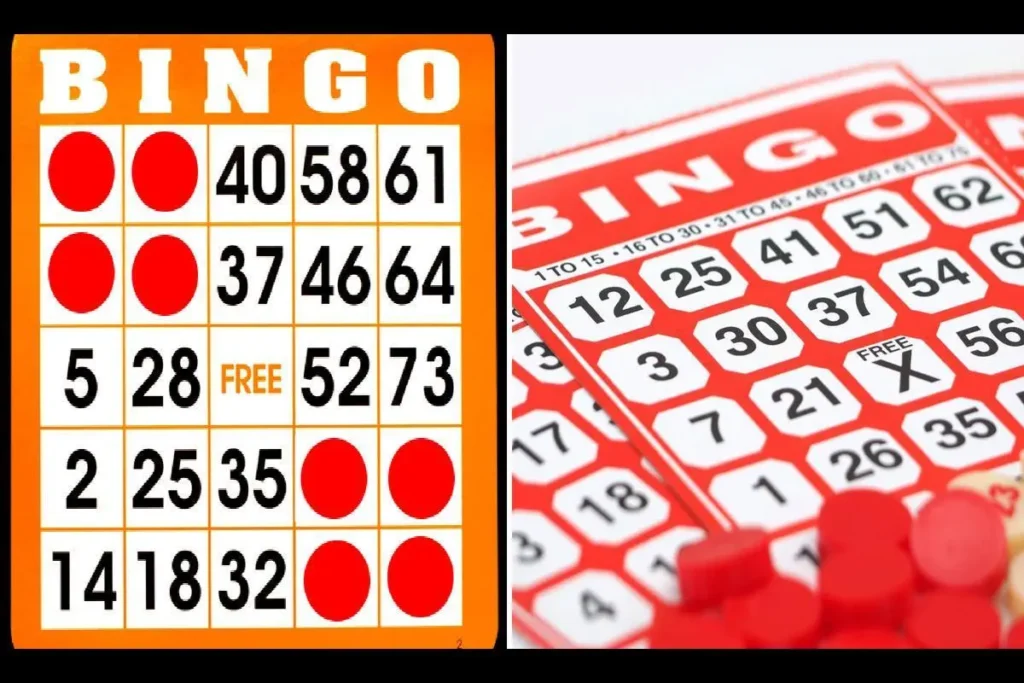 bingo guide