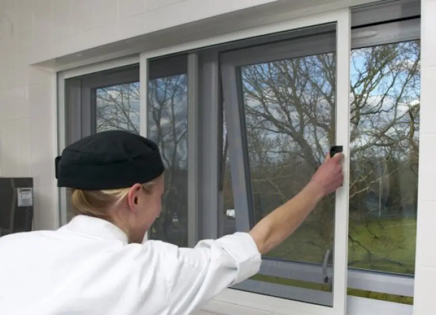 Modern Window Screen Solutions